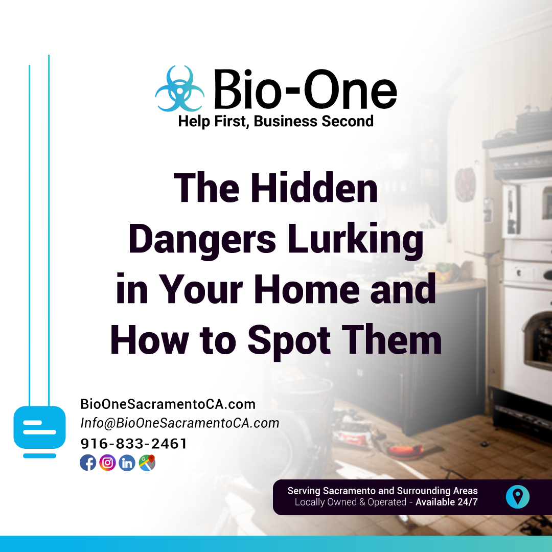The Hidden Dangers Lurking in Your Home and How to Spot Them BioOne